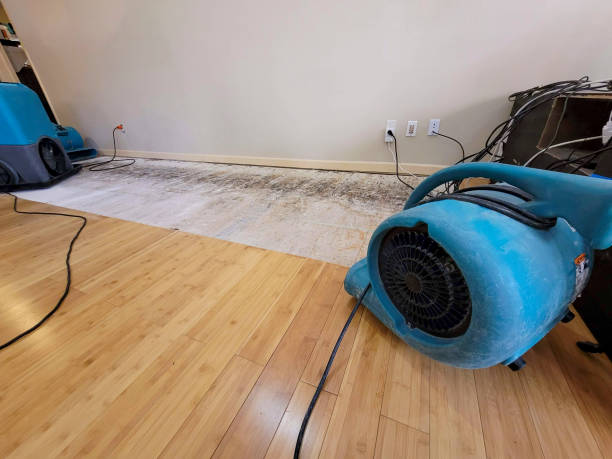 Professional Water Damage Repair technician working in Vauxhall, NJ